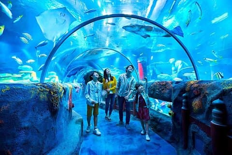 Kaartje voor SEA LIFE Nagoya