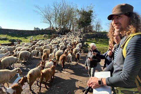Randonnée le long de l'ancienne voie Appienne