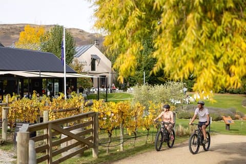 Ride and Wine Central Otago Cromwell E-bike Adventure