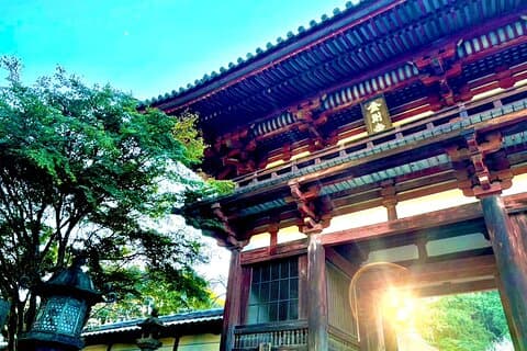 Privat tur til middelalderens Japan utenfor Osaka