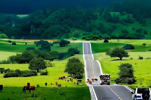Chongqing Private 1-Day: Natural Stone Bridge&Fairy Mountain Park