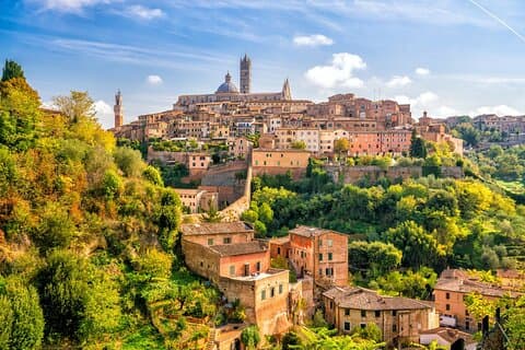 Wine Experience a Montalcino e Siena