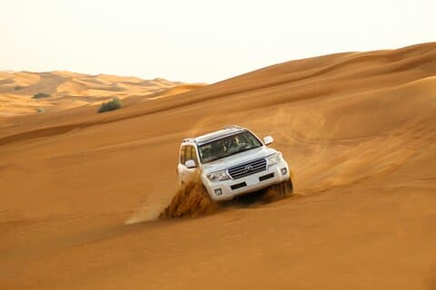 Safari de medio día en el desierto de Doha con paseo en camello por las dunas