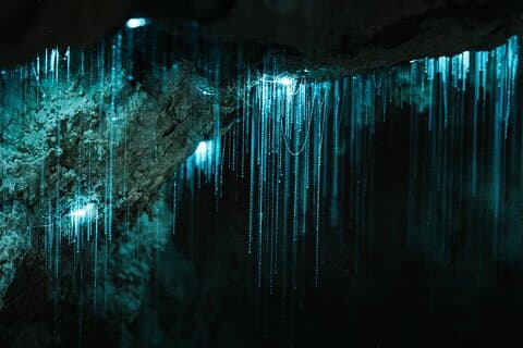 Starburst Cathedral diep in de Melkweg Glowworm Cave