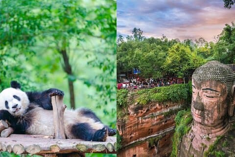 Chengdu Panda-basisticket/ervaringen vanaf Chunxi Road
