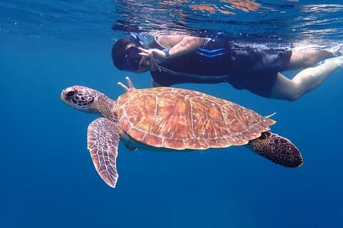 3 piece Ishigaki Blue Cave Snorkel: Small Group/Beginner Friendly