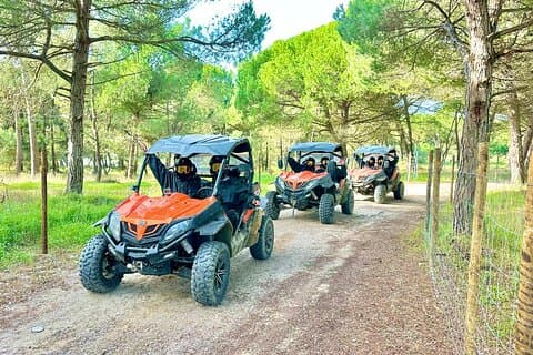 Tour en buggy rompepolvo de Sesimbra