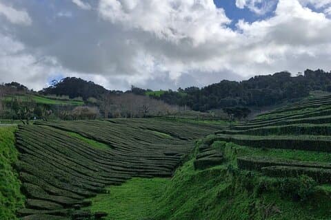 Tour di Furnas con visita alle sorgenti termali e ai paesaggi vulcanici.