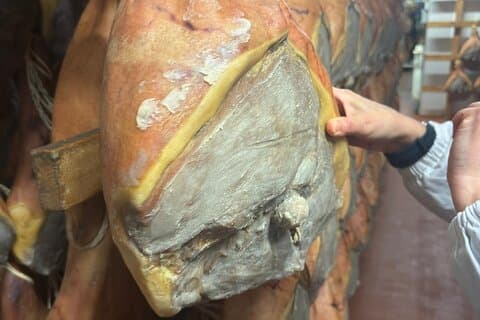 Parmigiano Reggiano og Prosciutto oplevelse med privat guide