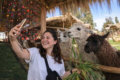 Cusco: Views, Alpacas Farm & Central Market Visit