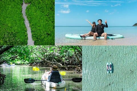 Ishigaki Mangrove and Sea SUP or Kayak with Drone and SLR Footage