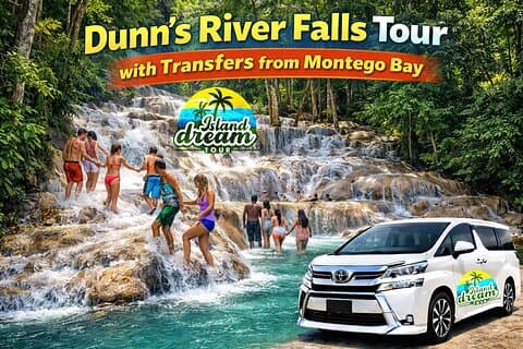 Dunn's River Falls Tour met transfers vanuit Montego Bay