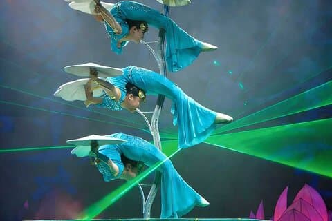 Red Theatre Acrobatics: Bilhetes com desconto e transporte opcional