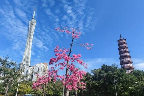 Guangzhou Gamla och Nya staden Upptäck med Pearl River nattkryssning