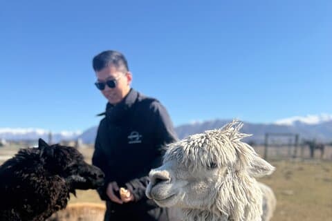 Twizel Petting Zoo