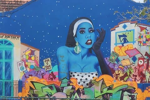 Lapa y Santa Teresa Street Art Experience