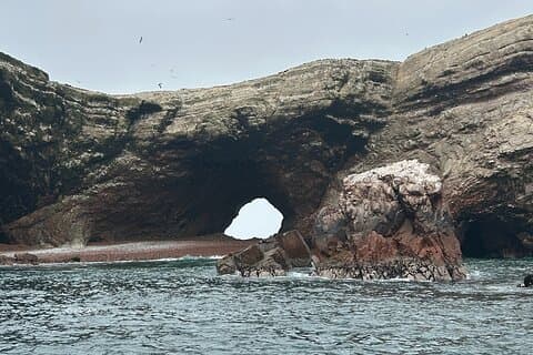 2-Day Tour in Paracas and Visit Huacachina