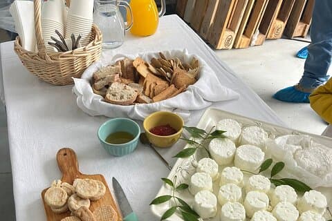 Sabores del Alentejo: Quesos caseros, almuerzos y vinos