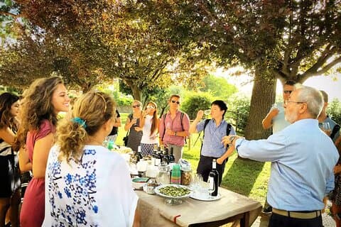 Frascati: 2-Hour Wine and Oil Tasting with Vineyards Tour