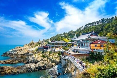 Busan Highlights & Cozy Local Private Tour with Licensed Guide
