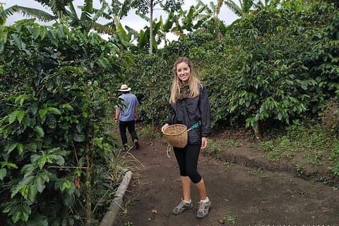Full tour (Coffee tour, river, mountain, etc. )