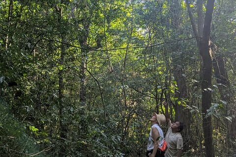 Privata Monkey Sanctuary Trails med Zipline Kanot och Cenote