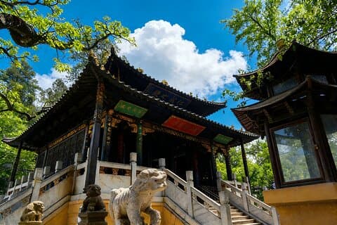 Private Full-Day Tour from Kunming: Stone Forest and Golden Temple