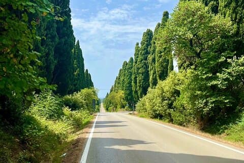 SuperTuscan Vinhos tour privado de Lucca Pisa ou Livorno Porto