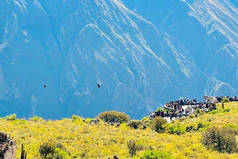 From Arequipa Hiking 2 days through the Colca Canyon