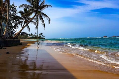 Wild Coast of Sri Lanka 8 Days of Beaches and Safaris