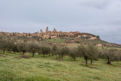 Shoretrip from Livorno to Siena & San Gimignano Lunch and Wine