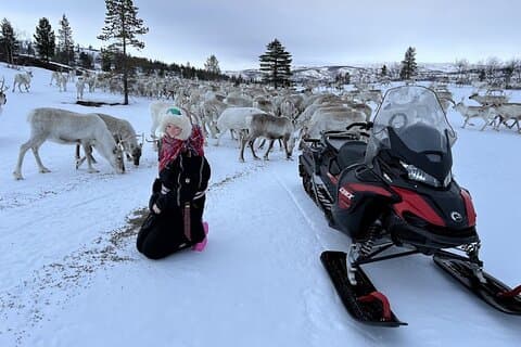 Sami Reindeer Calving Experience with Traditional Meal