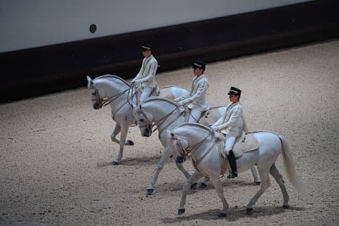 Furusiyya: Return to Origins – ADREA Show (kun lørdag)
