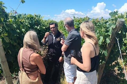 Mendoza Private Wine Tour – Uco Valley