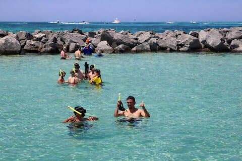 Shell Island Snorkel & Dolphin Tour from Panama City Beach