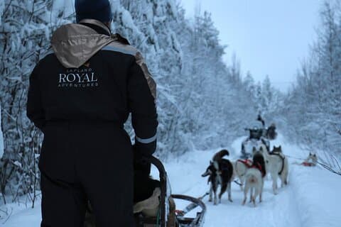 Rovaniemi Lapland Husky Experience 5km