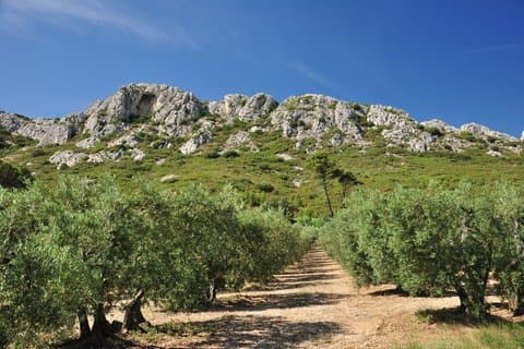 Landsbyene Saint-Rémy, Les Baux de Provence og Pont du Gard