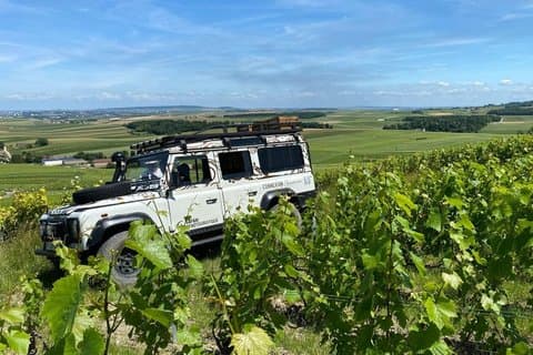 En dag i Champagne: besøk og smaking