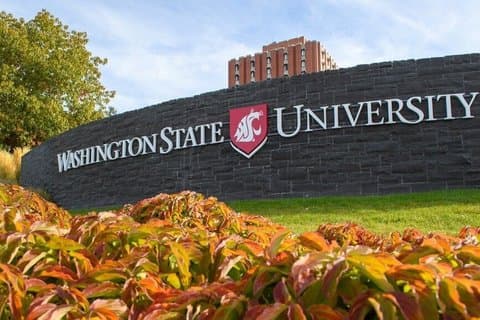 Privat SUV tur fra Seattle til Washington State University