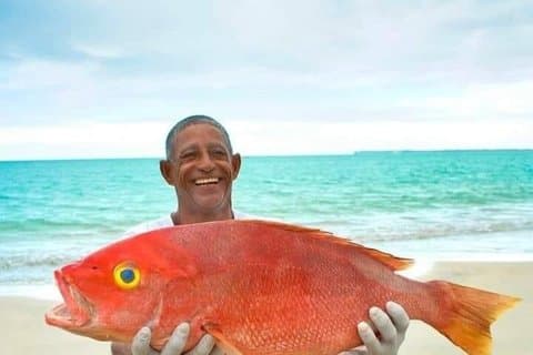 Pesca de altura Puntacana