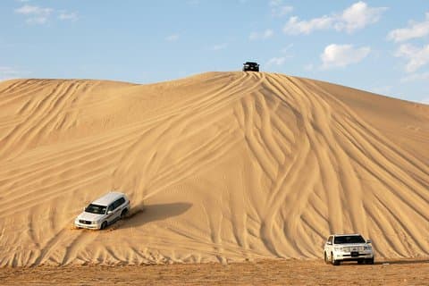 Qatar Privéwoestijnsafari van een halve dag met kameelrit