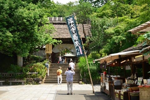 Tokyo: Jindaiji Temple & Soba Cultural Walk