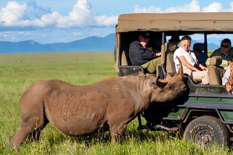 Tanzania Safari: Serengeti, Ngorongoro & Lago Manyara