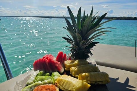Private Bacalar from Costa Maya Pontoon Tacos and Drink