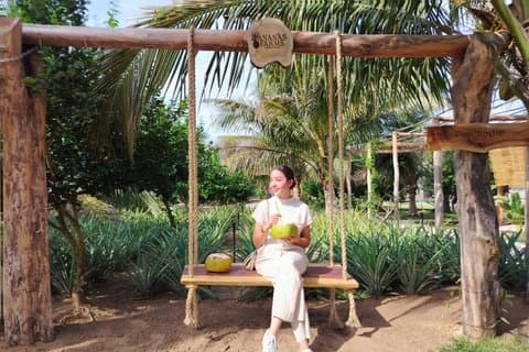 Visite de la plantation d'ananas et brunch de la ferme à la table Sinaloan