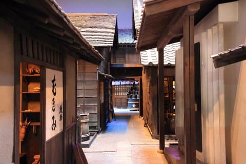Fukagawa Edo Cultuur en Tempel Tour