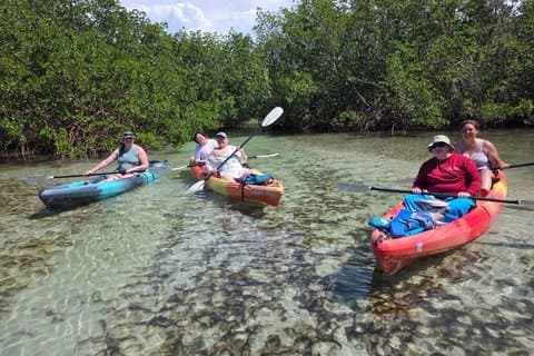 Aluguer de Kayak e Paddleboard em Siesta Key | Midnight Pass Beach