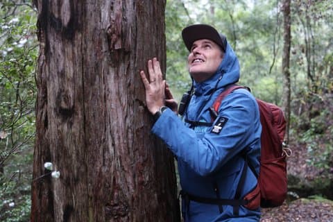 Trek Shoot e lenire il tour a piedi da Springwood Blue Mountains
