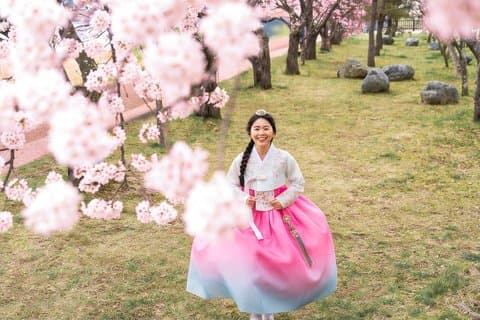 Gemeinsame Tour durch das Hanok-Dorf Jeonju und das Pflaumenblütenfest