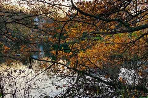 Hampstead Village & Heath Tour